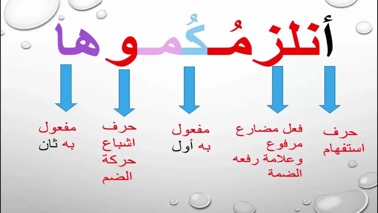 كلمات عربية فصحى نادرة ومعانيها