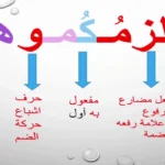 كلمات عربية فصحى نادرة ومعانيها