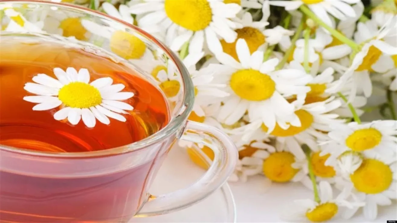 تجربتي مع شرب البابونج يوميا