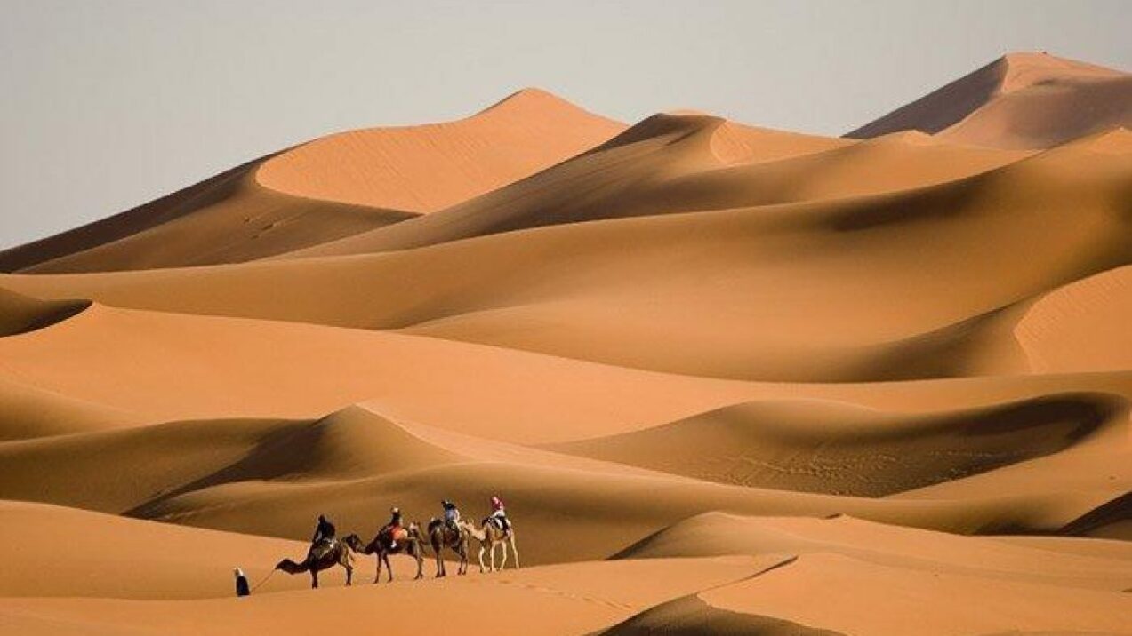 تفسير حلم الضياع في الطريق في المنام لابن سيرين