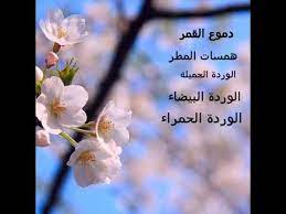 اقوى اسماء مستعارة حربية تعني القوة