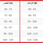 مقاس 3xl يلبس كام كيلو