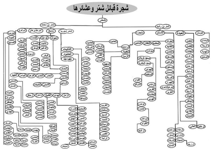 العلي وش يرجعون ، شجرة عائلة العلي