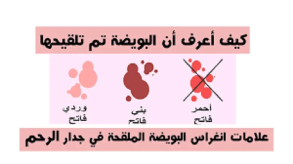كيف اعرف ان البويضه انفجرت وتلقحت وما هي الاعراض؟