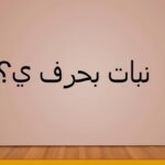 بلاد بحرف الياء ي (اسم مدينة بحرف ي)