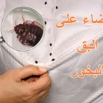 طريقة القضاء على البق بالبخور في المنزل