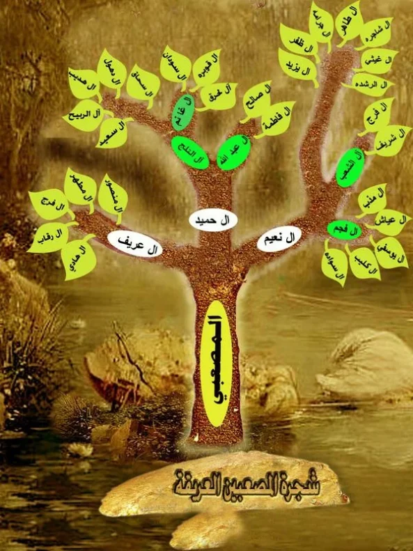المصعبي وش يرجع