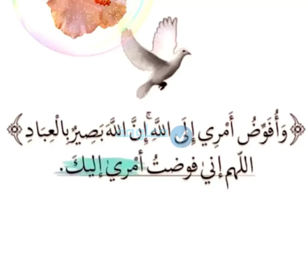 تجربتي مع دعاء وأفوض أمري إلى الله