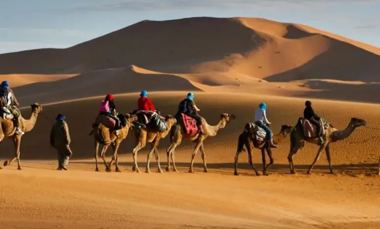 الذبياني وش يرجع .. عائلة الديباني وش اصلهم