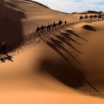 الازوري وش يرجع ، اصل قبيلة الازوري