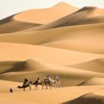 الحافي وش يرجع ، قبيلة الحافي من وين