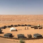 الذبياني وش يرجع .. عائلة الديباني وش اصلهم