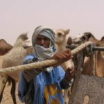 الدهيمان وش يرجعون