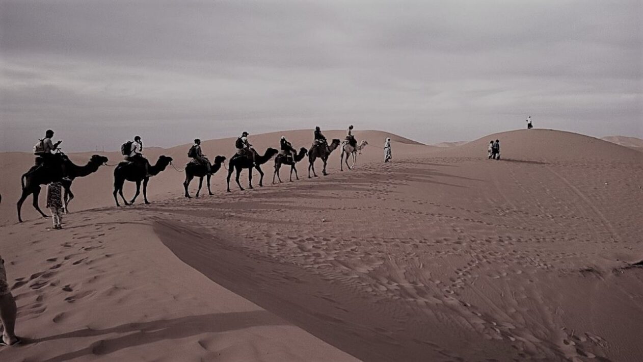 الحافي وش يرجع ، قبيلة الحافي من وين