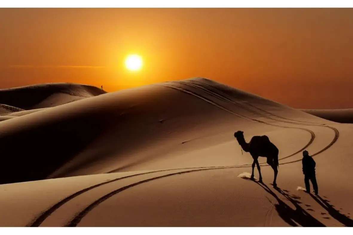 المشعلي وش يرجع وما هو نسبهم وامكان تواجدهم