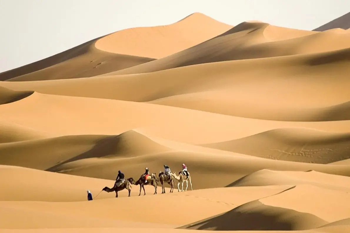 الباتل وش يرجعون، اصل عائلة الباتل من اي بلد