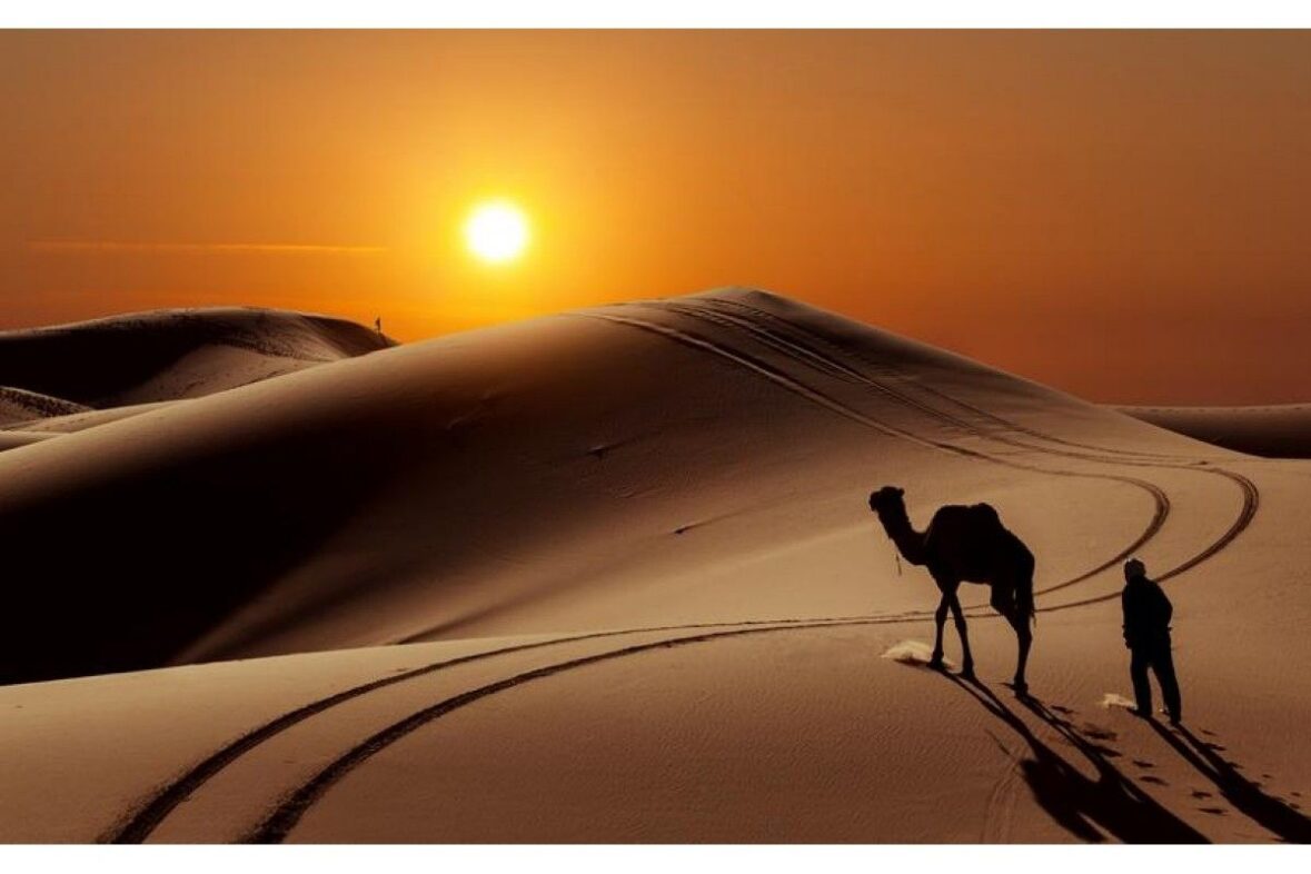 الحاتمي وش يرجع ، نسب قبيلة الحاتمي