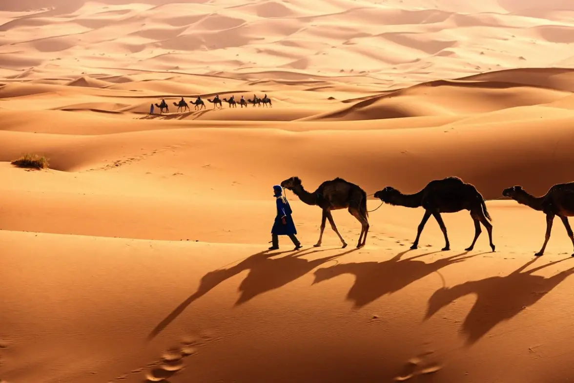 الخنفري وش يرجعون ، اصل الخنفري من وين