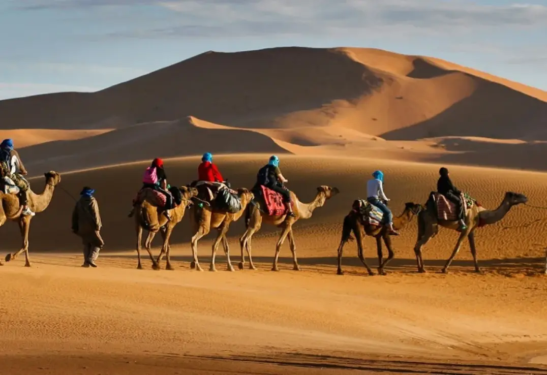 البداح وش يرجعون ، شجرة عائلة البداح