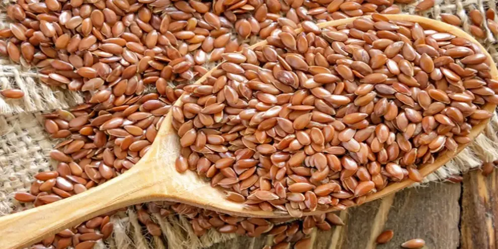 فوائد حب الرشاد للرحم