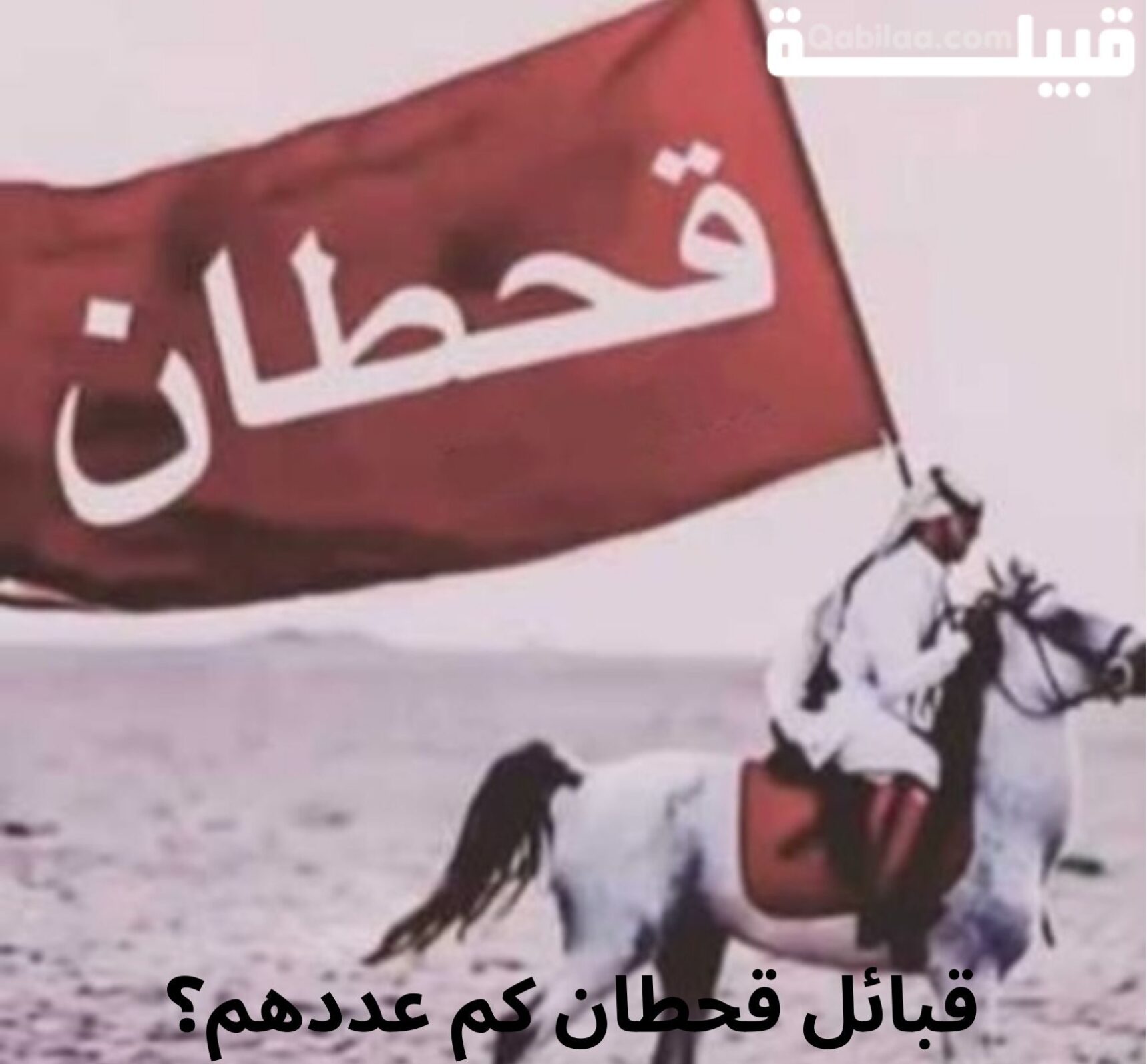 شجرة قبيلة قحطان