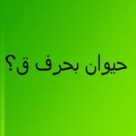 اسم حيوان بحرف ق