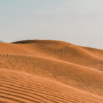 ال مسعود وش يرجعون