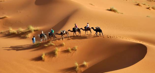 التليدي وش يرجع ، اصل عائله التليدي من اي فخذ