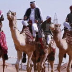 التليدي وش يرجع ، اصل عائله التليدي من اي فخذ