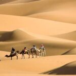 الجبري وش يرجع وما اصلهم من اي قبيلة