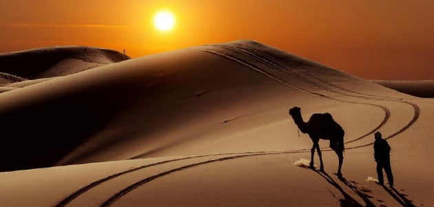 المريخي وش يرجع ، اصل قبيلة المريخي من وين