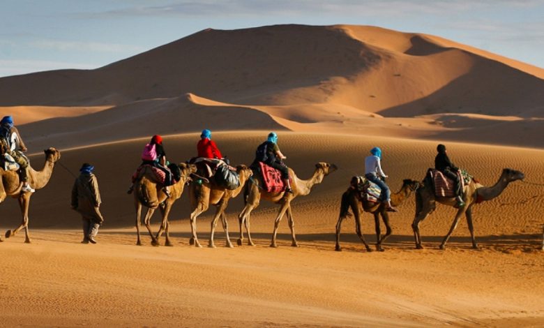 لماذا القبائل لاتزوج الشرارات