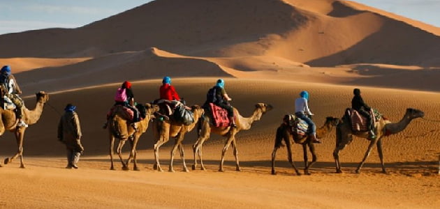 المريخي وش يرجع ، اصل قبيلة المريخي من وين