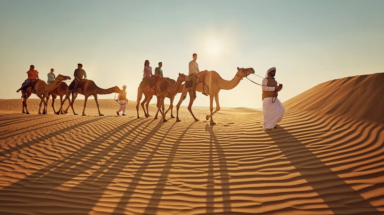 الدهمشي وش يرجعون ، شجرة الدهمشي