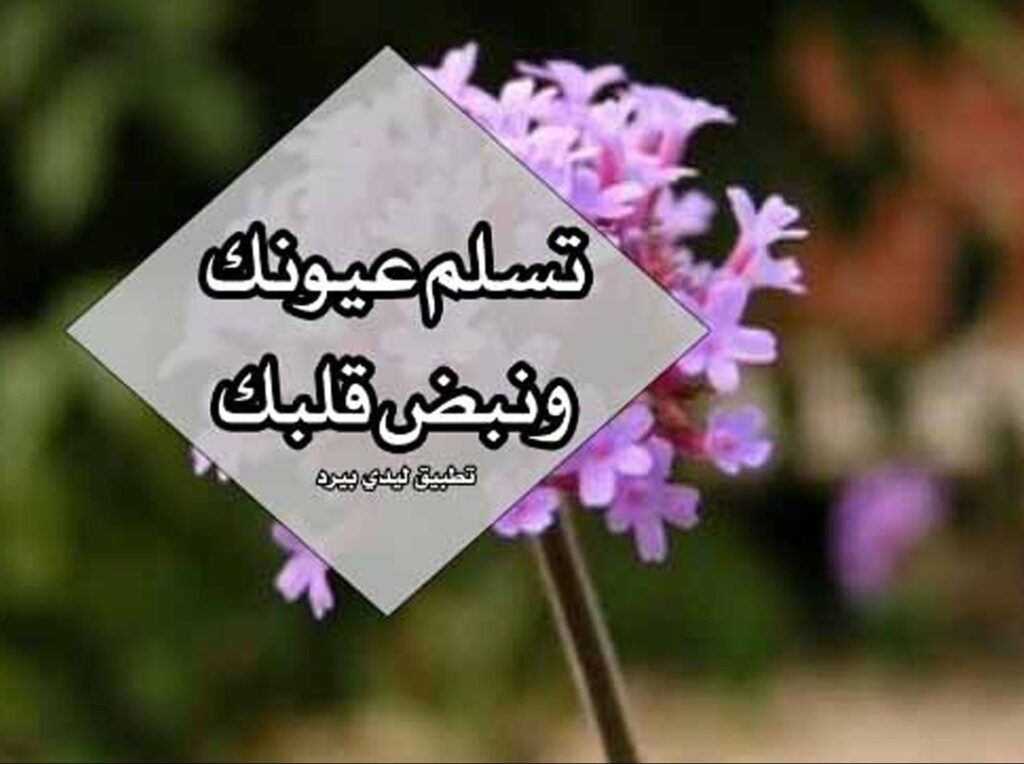 الرد على تسلم – اذا احد قالي تسلم وش ارد عليه