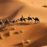 الطبيشي وش يرجعون ، اصل الطبيشي من وين