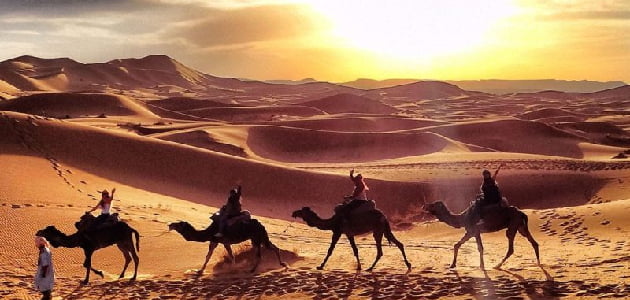 المنهالي وش يرجع