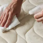 القضاء على البق بالملح