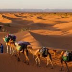المريخي وش يرجع ، اصل قبيلة المريخي من وين