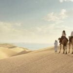 المنهالي وش يرجع