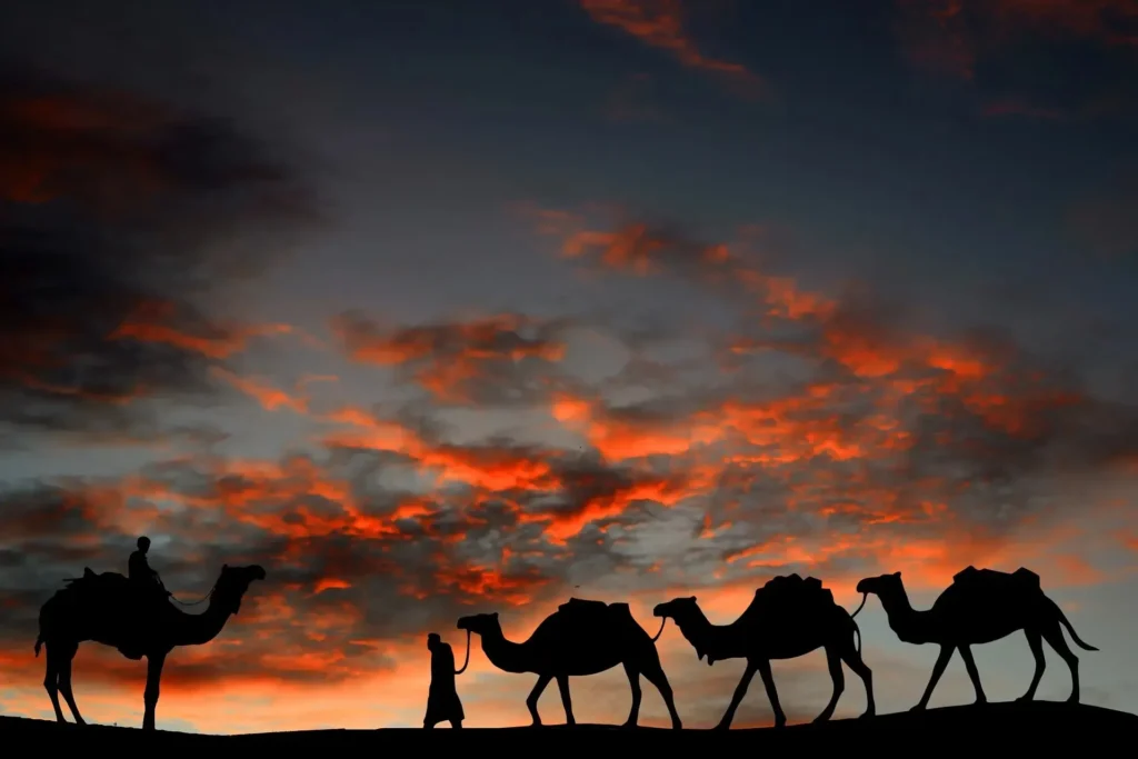 البشري وش يرجع .. شجرة عائلة البشري