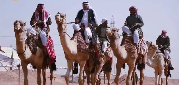 العزاز وش يرجعون وما أصل العزايزة