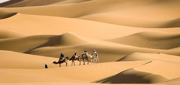 الحاتمي وش يرجع ، نسب قبيلة الحاتمي