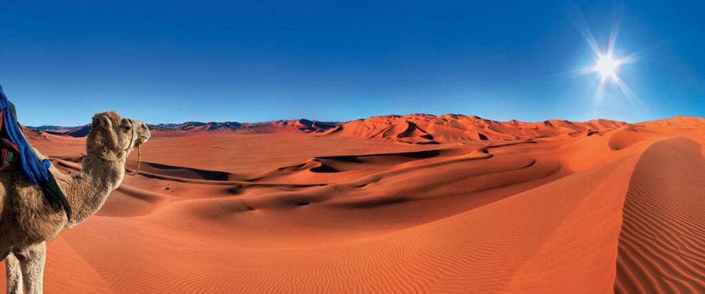 الربيعة وش يرجعون ، اصل الربيعة من وين