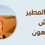نسب قبيلة مطير الحقيقي