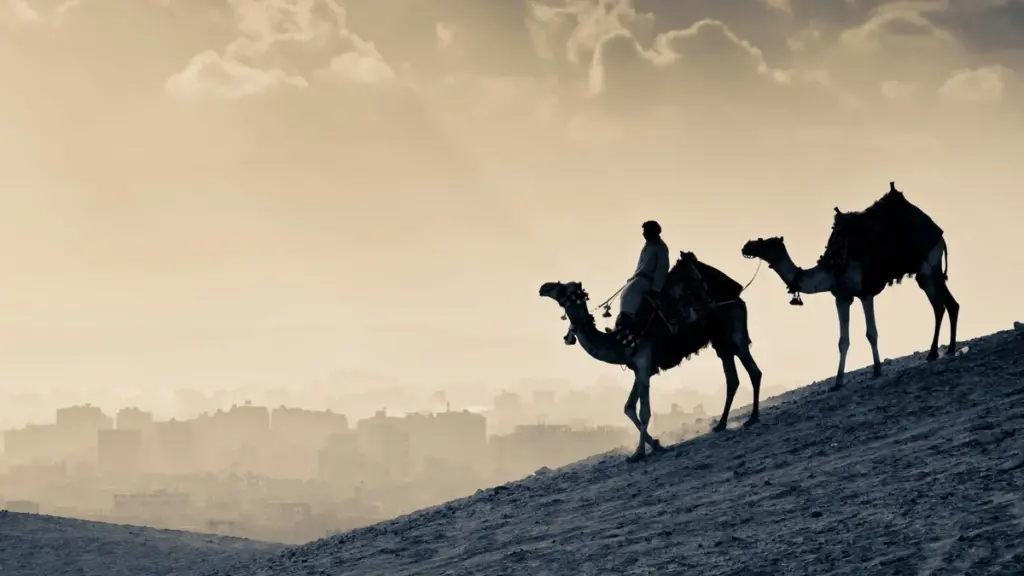 اذا قدم النبي من السفر فان اول مايقوم به