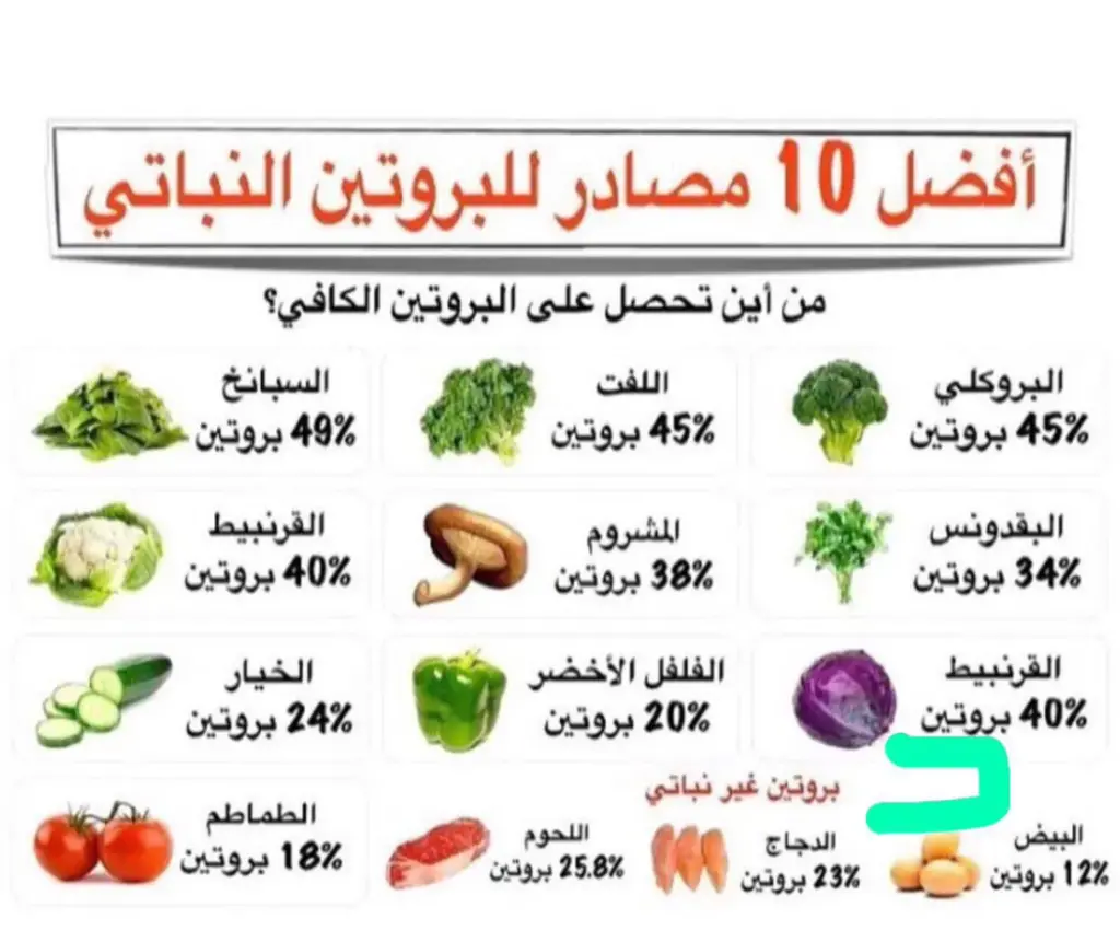 تجربتي مع نقص البروتين وطريقة تعويضه بسرعة