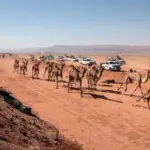 عائلة الزبن من وين