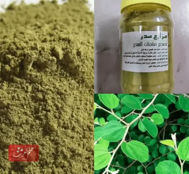 فوائد شرب السدر للمسحور