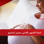 لماذا الشهر الثامن خمس اسابيع وما الحكمة؟